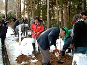 力を合わせて植樹作業を行う会員