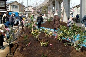 9号ポケットパークに「しらさぎ森林公園」で採取した樹木を植樹