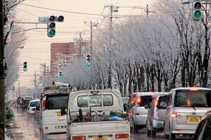 雪の花が咲いた三条市消防本部前の国道289号、通称第二産業泥の街路樹