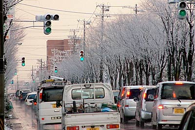 雪の花が咲いた三条市消防本部前の国道289号、通称第二産業泥の街路樹