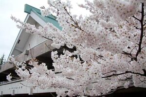 「穀雨」の20日は花曇りも気温は18.5度まで上がる暖かい陽気