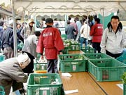 次々と売れる下田産品