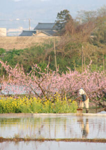 GW後半「憲法記念日」の3日、三条はことし最高の気温25.0度で夏の陽気