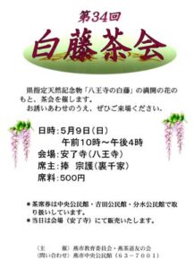 第34回白藤茶会のちらし