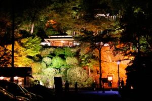 16日まで長岡市与板町・楽山苑でライトアップ、週末はイベント