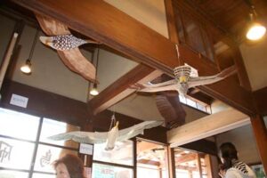 「かじまちの家」の土間ショップで開かれている鳥凧展
