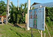 田上町長選が告示、現職と新人2人の3人が立候補、投開票は6日の短期決戦