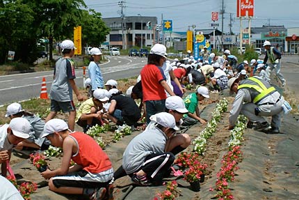 学校そばの緑地帯に花の苗を植える燕西小4、5年生