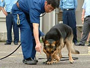 足跡追求のデモンストレーションを行う安本さんとグンター号