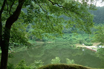 25日に第13回下条川ダムへら鮒釣大会が開かれる加茂市・下条川ダム