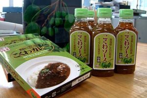 8月から下田地区で山の果実「コクワ」を使ったカレーと中濃ソースの試験販売へ