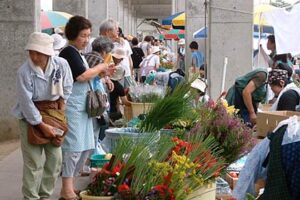 三条中央市場で盆市、台風接近前に客の出足早く