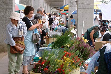 12日、JR北三条駅西側の三条中央市場で開かれた盆市