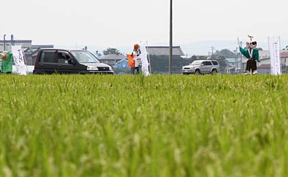 農道を車をゆっくり走らせながらかかしをドライブスルー見物