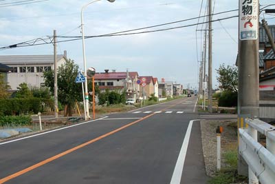 事故現場の国道289号の横断歩道