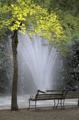 加茂山公園の池の噴水