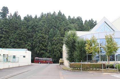 飯田小の校舎裏手の林にクマが現れた