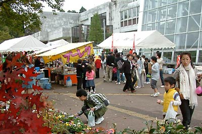 昨年秋の保内公園まつりのようす