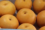 出荷したナシ「新高」