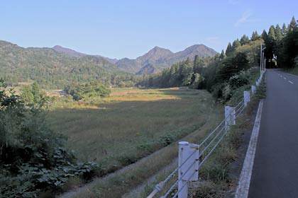 射殺された小グマ射殺された小グマが出没した現場の三条市栗山付近