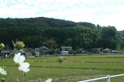 住宅裏でクマが目撃された東大崎地内（写真の家の後ろ）