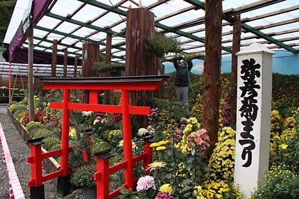 大型風景花壇はずばり「弥彦山の　（ もり０｝