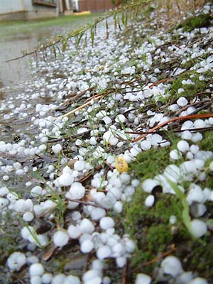 三条市興野付近に降ったあられ
