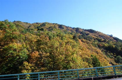 大谷ダム方面へ向かう途中の紅葉