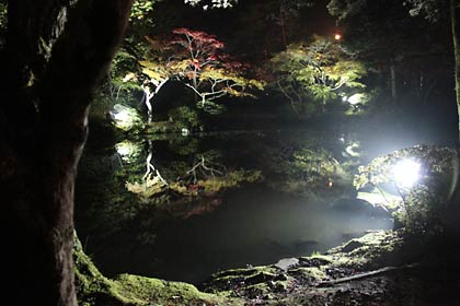 うっすらと霧がかかって幻想的な紅葉
