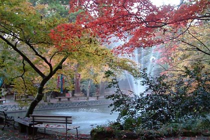 池之端の紅葉
