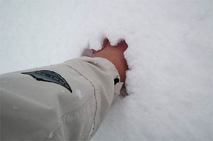 雪の中に手を突っ込んで積雪を実測、約5センチ