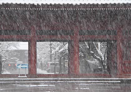 激しい雪でかすんで見える本成寺三門