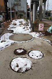 整備された6号ポケットパーク