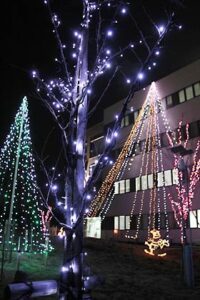 イルミネーションが点灯した県央研究所