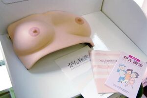 三条信用金庫本店に展示された乳がん触診モデル