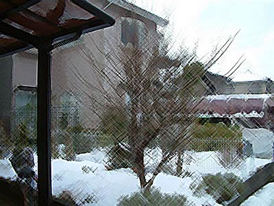 殺人未遂のあった住宅