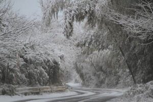 4日の三条は明け方に-0.3度まで気温が下がる厳しい冷え込みで仕事始めは雪景色に