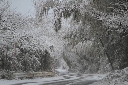 雪に覆われて水墨画のようになった午前7時半ころの上須頃地内、中ノ口川右岸の堤防道路