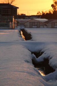 「雨水」だった19日の三条は、最高気温は4.8度と平年並みだったが晴れて穏やか