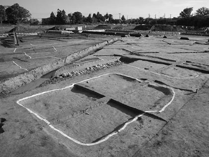 三条市上道下西遺跡で行われた発掘調査で見つかった古代の水田