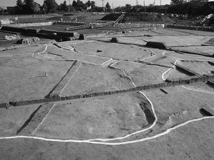 三条市上道下西遺跡で行われた発掘調査で見つかった古代の水田