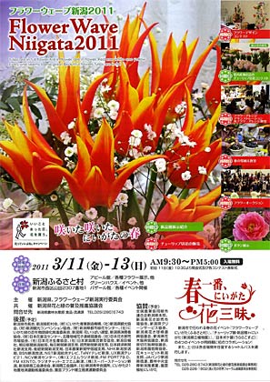  フラワーウェーブ新潟2011のちらし