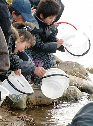 避難生活を送る子どもたちも次々とサケの稚魚を放流