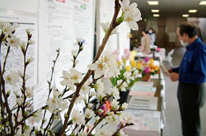 避難所を飾る生花