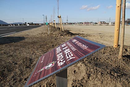 寄付された樹木に設置されたオーナーの銘板