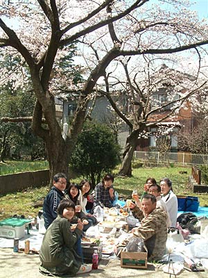 17日昼、三条市八幡宮で一足早い花見