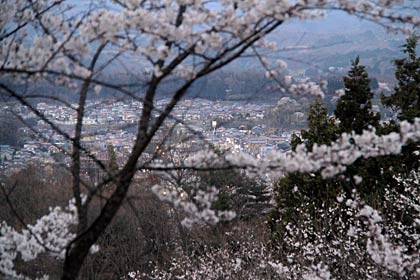 21日夕方、サクラの名所の福島県・二本松城跡からサクラ越しに市街地を見下ろす