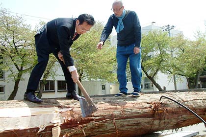 国定三条市長も丸太に乗って斧はつりに挑戦