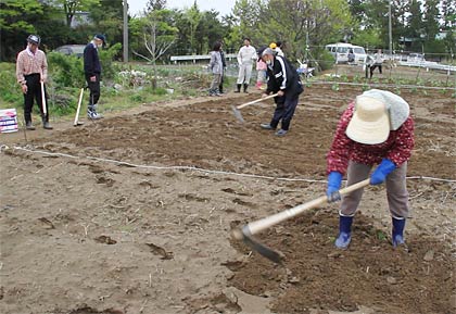 11日に第1避難所の畑仕事のようす