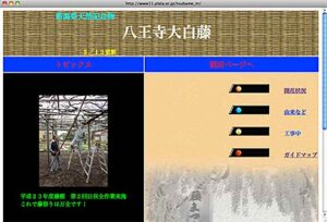 燕市・安了寺の「八王寺の白藤」の開花状況を八王寺大白藤保勝会のメンバーがホームページに掲載